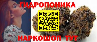 прущие крисы Коммунар
