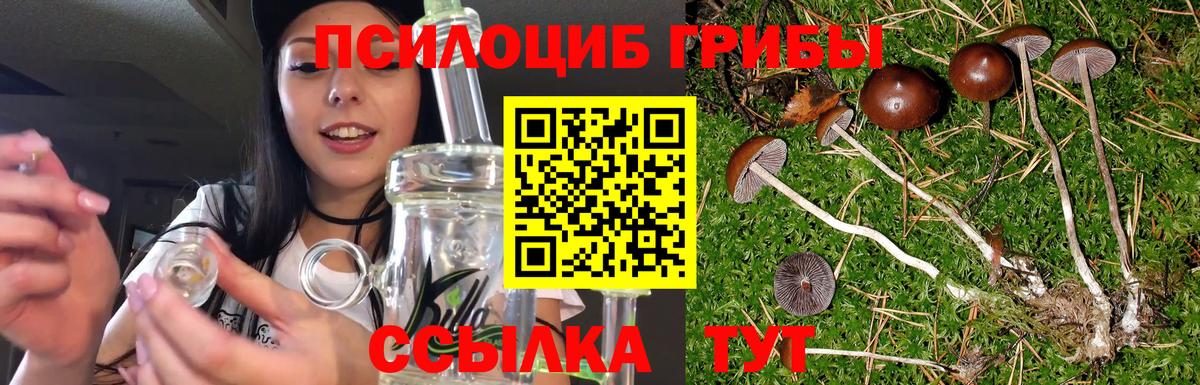 Псилоцибиновые грибы мухоморы Елабуга