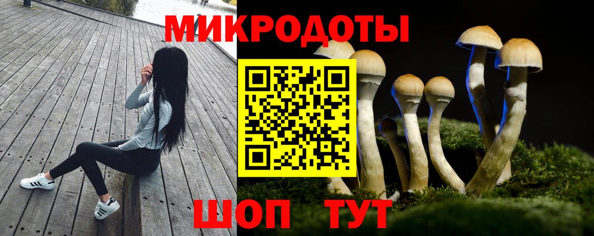 Елабуга  где купить наркоту  Вход с VPN  Псилоцибиновые грибы MAGIC MUSHROOMS 